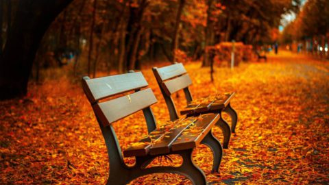 podzimní prázniny - opuštěná lavička v parku