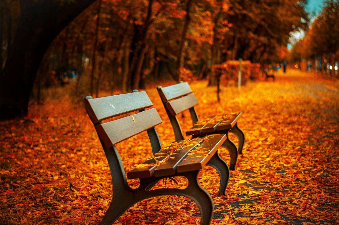 podzimní prázniny - opuštěná lavička v parku
